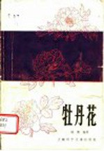 牡丹花