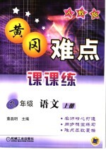 黄冈难点课课练 语文 九年级 上 人教版