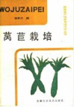 莴苣栽培