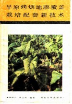 旱原烤烟地膜覆盖栽培配套新技术