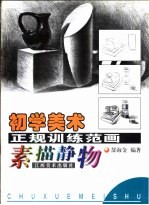 初学美术正规训练范画 素描静物