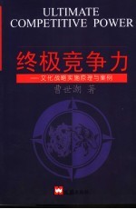 终极竞争力 文化战略实施原理与案例