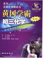 初三化学 第4版