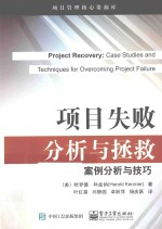 项目管理核心资源库 项目失败分析与拯救 案例分析与技巧