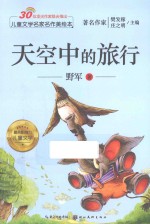 儿童文学名家名作美绘本 天空中的旅行
