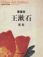 中国美术家画廊 书画家 王漱石画集