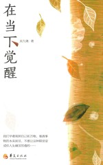 在当下觉醒