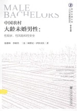 西安交通大学人口与发展研究所学术文库 中国农村大龄未婚男性 性现状、性风险和性安全