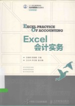 Excel会计实务 本科