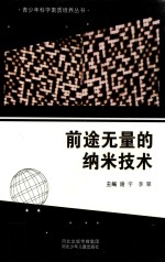 青少年科学素质培养丛书 前途无量的纳米技术