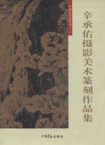 《中国艺术家丛书》 2 辛承佑摄影美术篆刻作品集