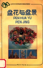 盆花与盆景