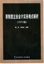 新制度企业会计实务难点解析 2001版