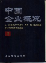 中国企业概况 1