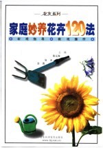 家庭妙养花卉120法