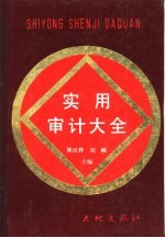 实用审计大全 上