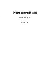 小数点大闹整数王国 数学童话