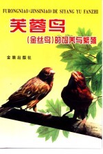 芙蓉鸟 金丝鸟 的饲养与繁殖
