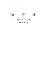 新诗集