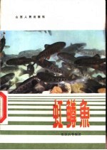 虹鳟鱼