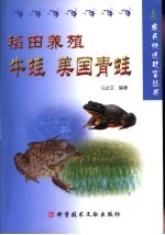 稻田养殖牛蛙 美国青蛙