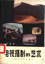 电视摄制的艺术