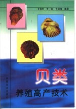 贝类养殖高产技术