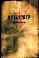 四川十年文学论文选
