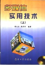 多媒体实用技术 上