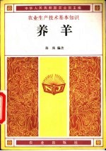 养羊