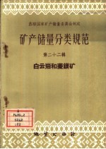 矿产储量分类规范 第22辑 白云岩和菱镁矿