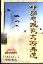 中国电视散文精品选 2002