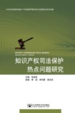 知识产权司法保护热点问题研究