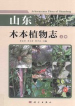 山东木本植物志 上