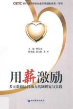 用薪激励 多元激励协同动力机制研究与实践