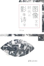 图像文化时代的影像诗学