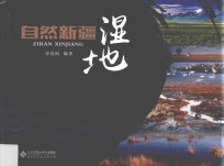 自然新疆 湿地