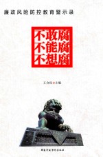 廉政风险防控教育警示录 不敢腐不能腐不想腐