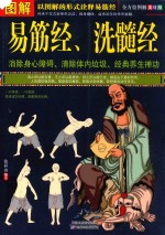 图解易筋经,洗髓经 全方位美绘版