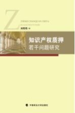 知识产权质押若干问题研究