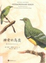 神奇的鸟类