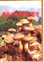 香菇木屑塑胶包栽培