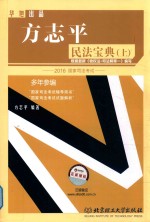 方志平民法宝典 上