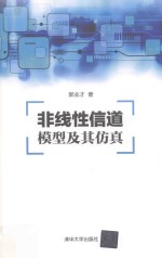 非线性信道模型及其仿真