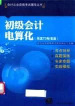 初级会计电算化 用友T3标准版