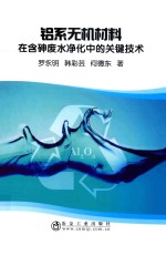 铝系无机材料在含砷废水净化中的关键技术