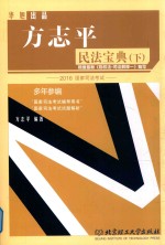 方志平民法宝典 下