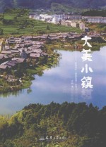 新微设计“最美系列”丛书 大美小镇