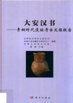 大安汉书 青铜时代遗址考古发掘报告