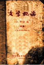 文学概论 下 初稿